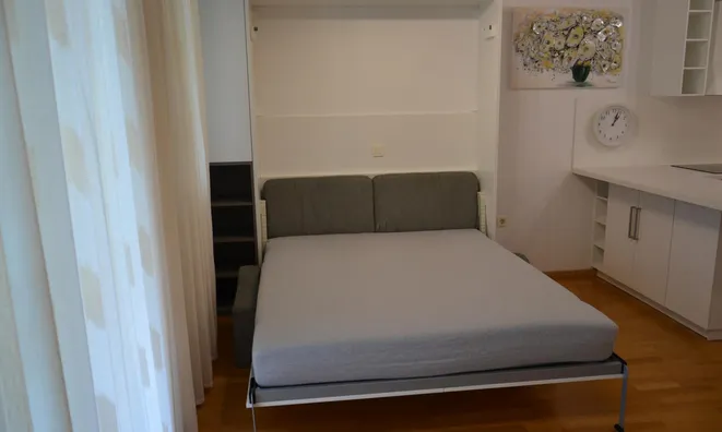 Недвижимость Apartment in the center of Ljubljana: 8