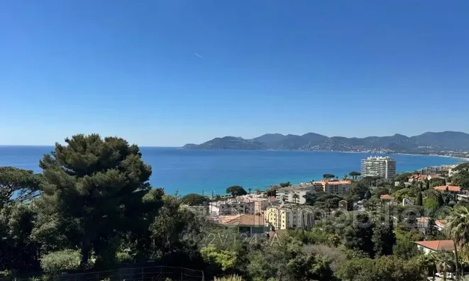 Недвижимость Villa Cannes: 11