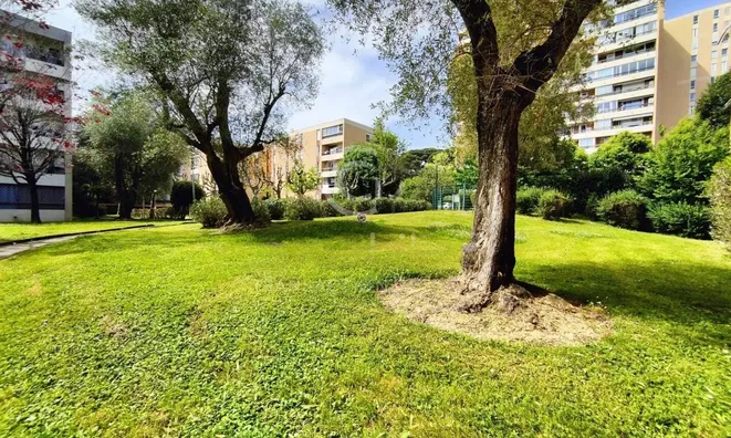 Недвижимость Property Cannes: 11