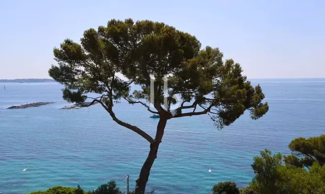 Недвижимость Villa Cannes: 11