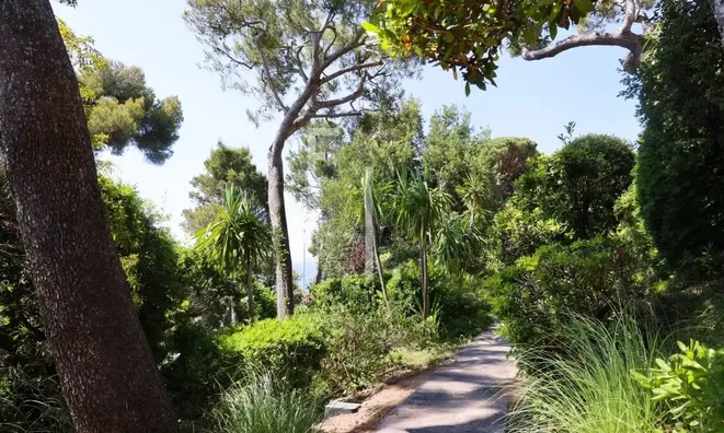 Недвижимость Villa Cannes: 13
