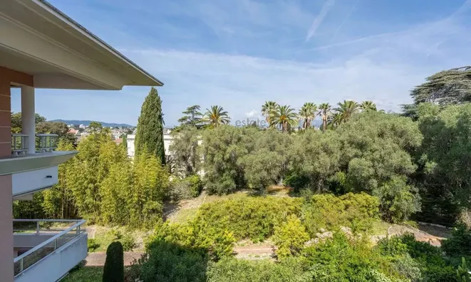Недвижимость Villa Cannes: 21
