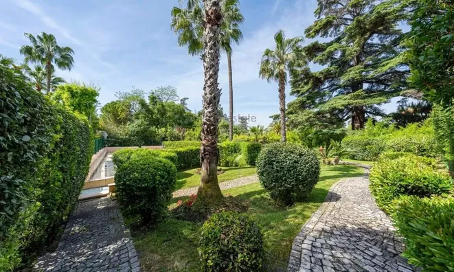 Недвижимость Villa Cannes: 22
