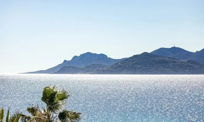 Недвижимость Villa Cannes: 13