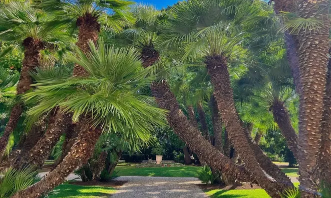 Недвижимость Villa République Cannes: 4