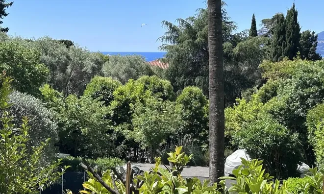 Недвижимость Villa Cannes: 7