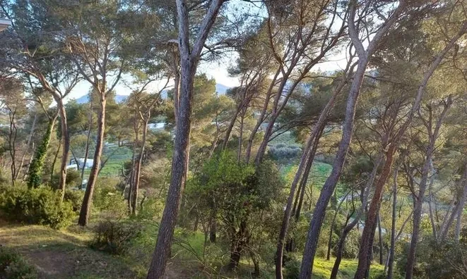 Недвижимость Villa La Bocca Nord: 3