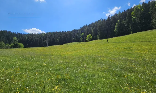Недвижимость Имение Кметияново Озеро: 13