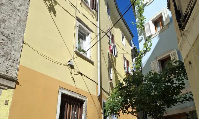 Недвижимость Квартира в Пиране: 19