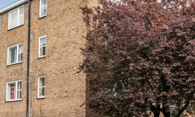 Недвижимость Kennington Park Road, Kennington: 9