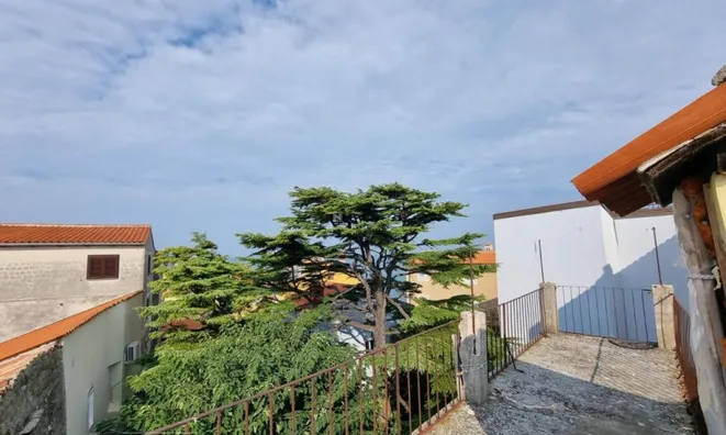 Недвижимость Three-room apartment Piran: 14