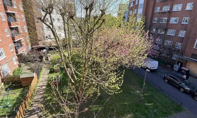 Недвижимость Ravenet Street: 1