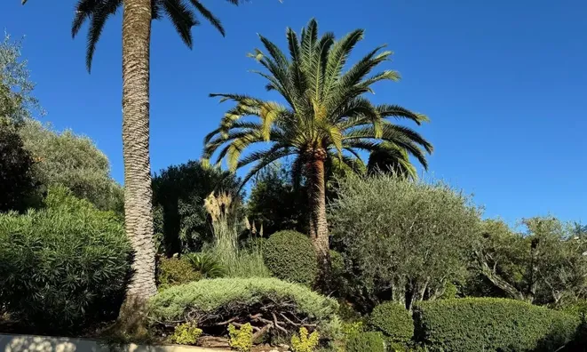 Недвижимость Villa Cannes: 3