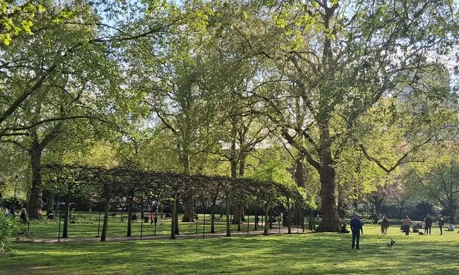 Недвижимость Woburn Place: 2