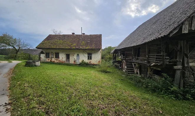 Недвижимость Дом, Черешневец: 4