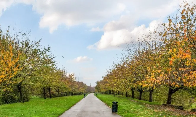 Недвижимость Sumner Road, Peckham: 11