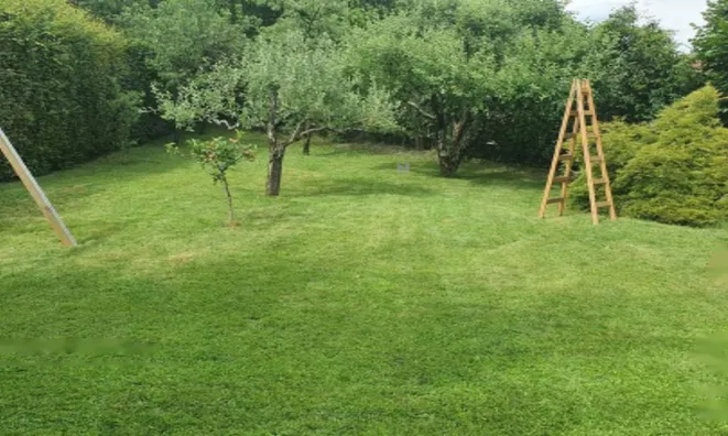 Недвижимость Дом, Бохиньска Бела: 9