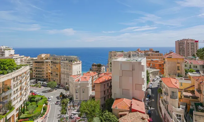 Недвижимость Apartment Monaco, La Rousse: 2
