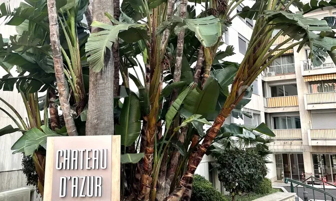 Недвижимость Apartment Monaco, La Rousse: 2