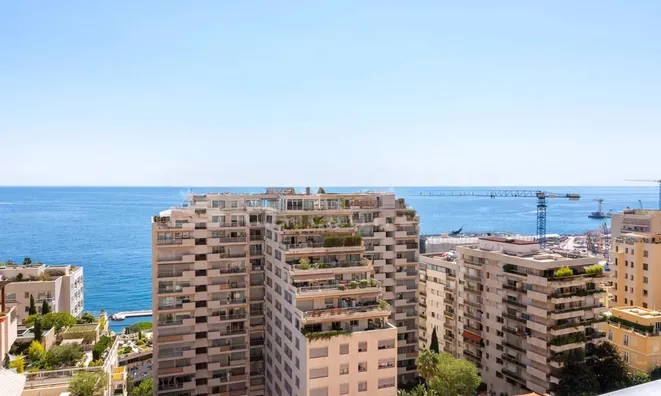 Недвижимость Apartment Monaco, La Rousse: 1