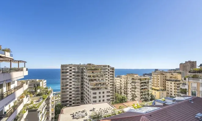Недвижимость Apartment Monaco, La Rousse: 14