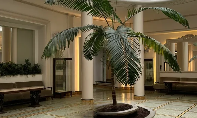 Недвижимость Apartment Monaco, Monte-Carlo: 5