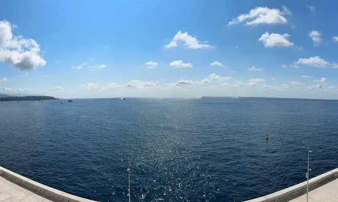 Недвижимость Apartment Monaco, Anse Du Portier: 1