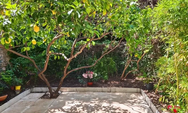 Недвижимость Villa République Cannes: 1