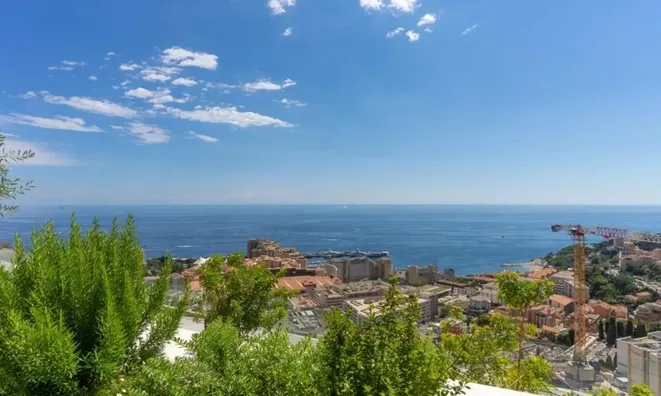 Недвижимость Apartment Monaco, Jardin Exotique: 4