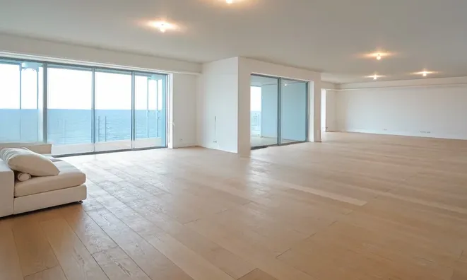 Недвижимость Apartment Monaco, Anse Du Portier: 4