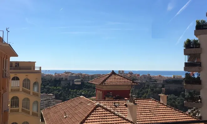 Недвижимость Apartment Monaco, Moneghetti: 10