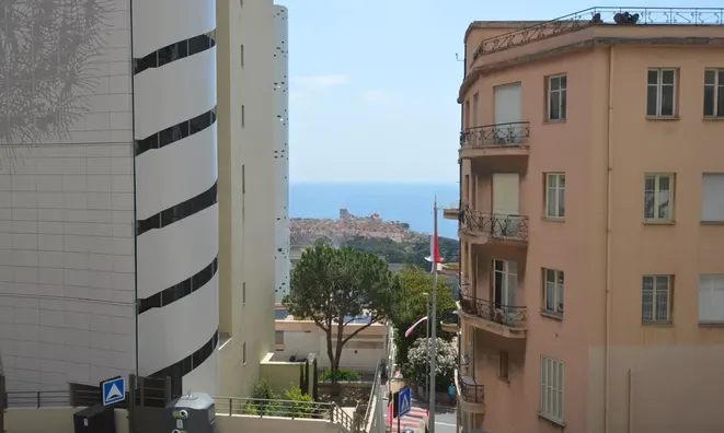 Недвижимость Apartment Monaco, Jardin Exotique: 1