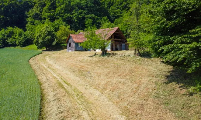 Недвижимость Дом, Савцы: 7