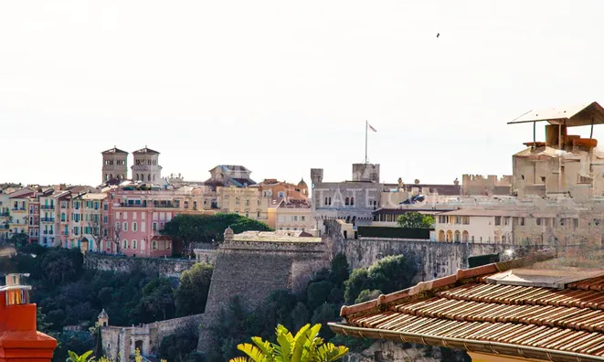 Недвижимость Apartment Monaco, Moneghetti: 9