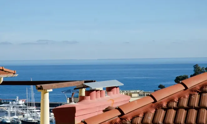 Недвижимость Apartment Monaco, Moneghetti: 10