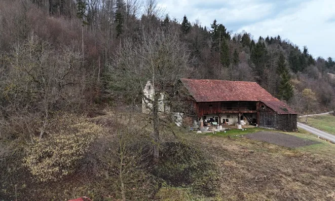 Недвижимость Manor: Lyubia Farm, Mozyrje.: 3