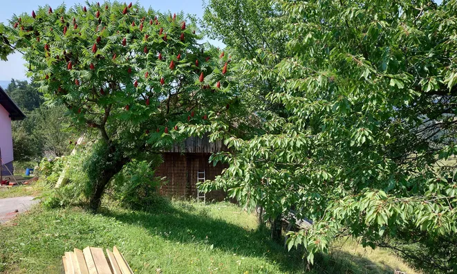 Недвижимость Estate, Ravne Farm, Pristava.: 1