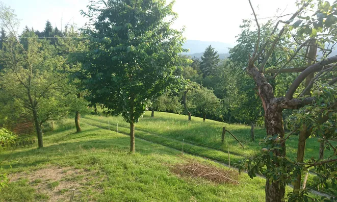 Недвижимость Estate, Ravne Farm, Pristava.: 6