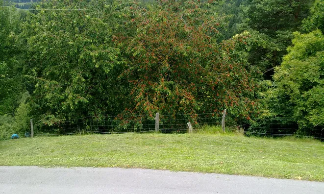 Недвижимость Estate, Ravne Farm, Pristava.: 10