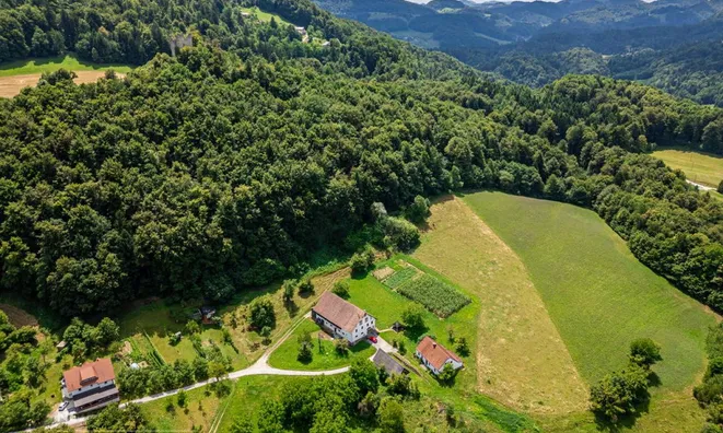 Недвижимость Estate, Rifnik Farm: 7