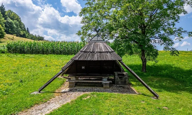 Недвижимость 'Rifnik Estate,' Šentjur near Celje.: 9