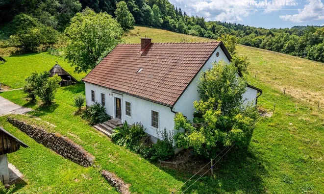 Недвижимость Rifnik Estate, Manor, Sentjur near Celje.: 6