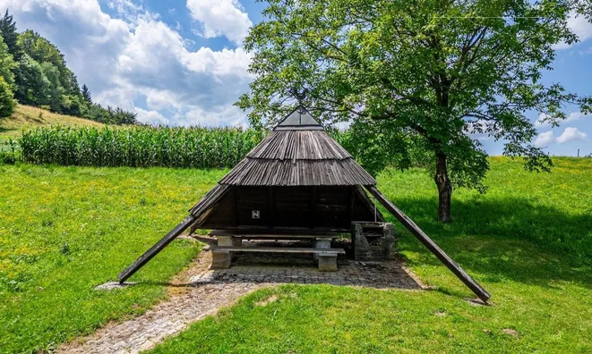 Недвижимость Rifnik Estate, Manor, Sentjur near Celje.: 10