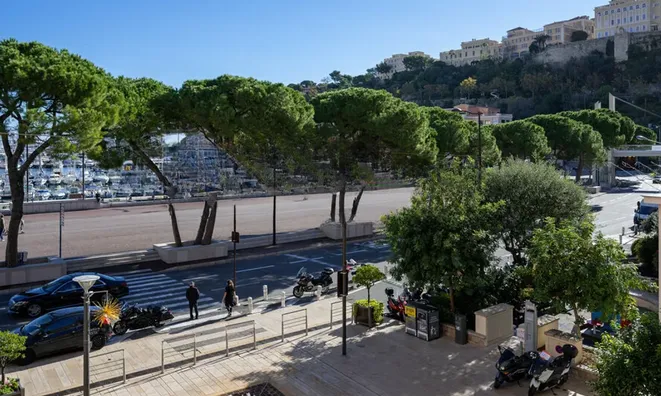 Недвижимость Apartment Monaco, Port: 8