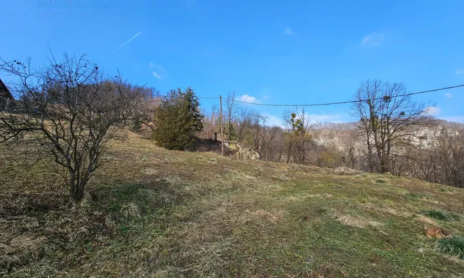 Недвижимость Усадьба, ферма Римские Топлице.: 15