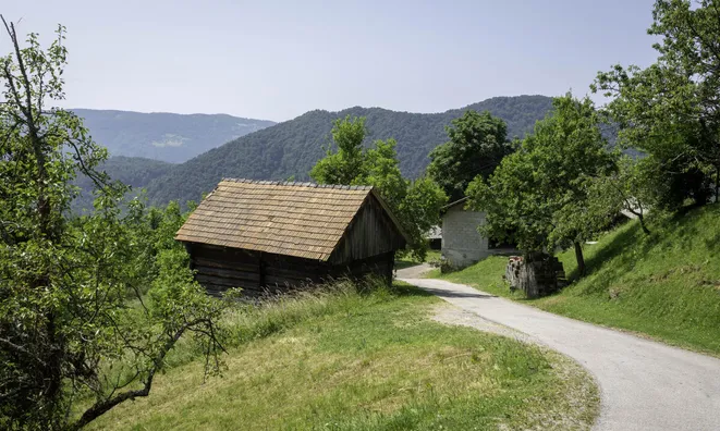 Недвижимость Manor, Slivno Farm, Shmokhor.: 10