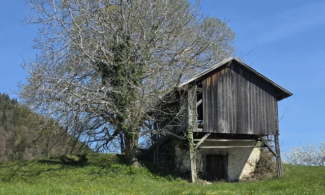 Недвижимость Estate, Sochka Farm.: 18