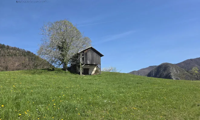 Недвижимость Estate, Sochka Farm.: 19