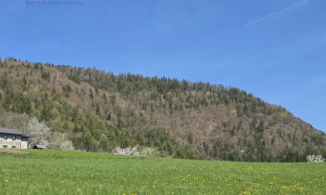 Недвижимость Estate, Sochka Farm.: 20