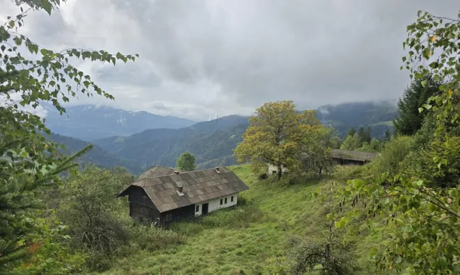 Недвижимость Усадьба, ферма Старый Город.: 10